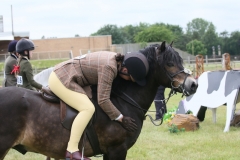davinia-johnson-and-stowbrook-red-kite