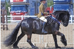 Amy-Pinfield-and-Nipna-Jackmanii