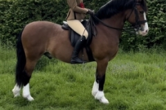 Macey-Hall-and-Banroc-Jack-Daniels-