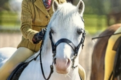 Alice-Hartenfeld-and-Thistledown-Special-VIP