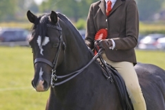 Elise-Morris-and-Copella-Black-Knight