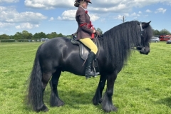 Lilli-Aungier-and-Murthwaite-Rick