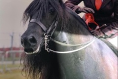 Amy-forsdyke-and-Byersgreen-Alfie