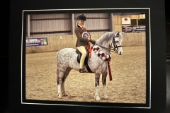 Lily-Richardson-and-Marsh-walk-on-by