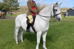 1_Scarlett-Sparrow-Stevens-Horse_Pony-Colwills-Silver-Hill