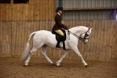 Lucie-Wilson-Horse_Pony-Moyabbey-Blathin