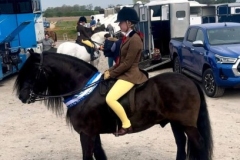 Milly-Philipson-Horse_Pony-Willmont-Braveheart