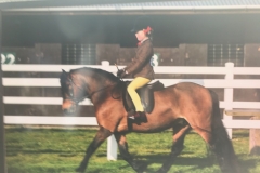 Daisy -may Allen and Cayberry hotshot