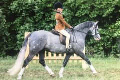 Eugenie Godfrey-Faussett and Weydown Royal Consort