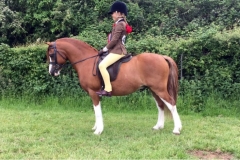 Freya Herring and Elttot Bandit