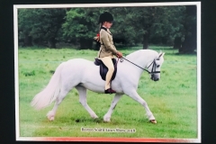 Lauren Tate and Amesbury Lucy Locket