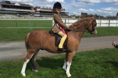 Lexi Brash and Wellbank Gabriel