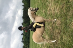 Livie Smith and Westfirle Golden Oriole