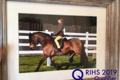 Daisy - may allen and Cayberry hotshot