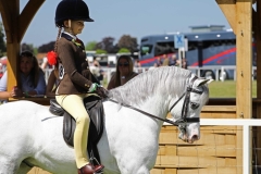 Amylee-crutch-and-Llynhelyg-play-boy