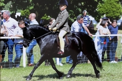 William-Parkin-and-Newoak-Gold-Edition