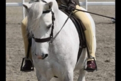 Elyza-ali-hillyard-and-Thistledown-princess-letizia