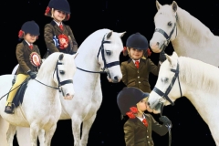 Charlotte-knight-and-Thistledown-princess-Leziza