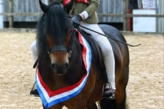 Honey-Crawford-and-Cayberry-First-Edition