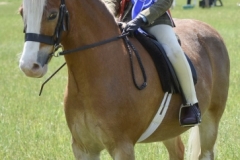 Millie-Rackham-Cobb-and-Halnaker-Malachi