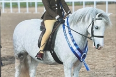 Penny-Richardson-and-Glebedale-Silhouette