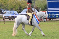 Rose-Cassapi-and-Nantfforchog-Blue-Moonstar