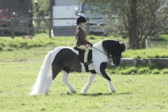 Alexia Lilley and Briar Puzzle