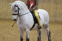 Charlotte-Driver-Horse_Pony-Newoak-Blizzard