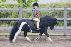 Morgan-Matthews-Horse_Pony-Clibberswick-Special-Delivery