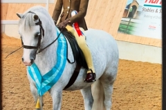 Penny-Richardson-anbd-Glebedale-Silhouette