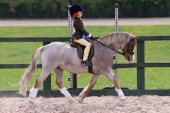 Ruby-Fentiman-Horse_Pony-Withymead-honey-bear