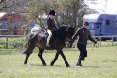 Amelia-Slater-and-Greenferns-Bentley