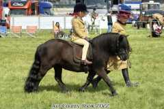 Alice-Hartenfeld-and-Sharptor-Keepsake