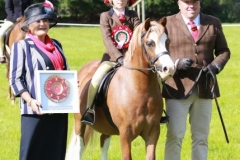 Esther-Tilbury-and-Nynwoods-Fashionable