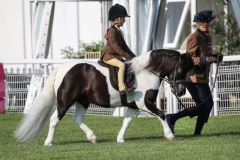 Alexia-Lilley-and Briar-Puzzle