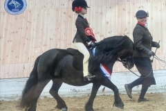 Dottie-Bretherton-Horse_Pony-Laureen-VD-Baarleseweg