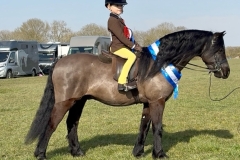 Frankie-Briers-and-Rothvale-First-Edition