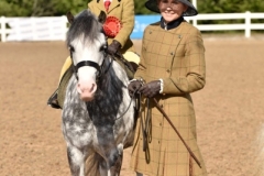 Imogen-Hinksman-Horse_Pony-Coychurch-chocolate-Orange