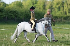 Margot-Hartland-Horse_Pony-Lingardswood-Saffia