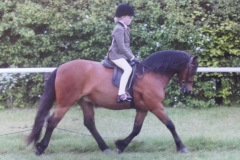 Daisy Bullman and Briden Perdargio