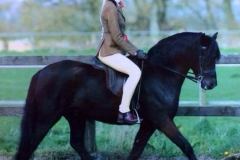 Dykes Dark Damson and Ellie Kirkbride