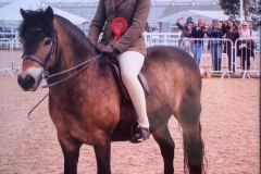 Edwinsfield Nocturne and Lauren Brill