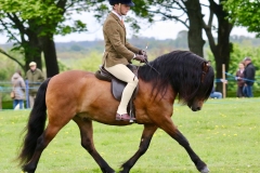 Hixton Honey Maker and Liam Priestley