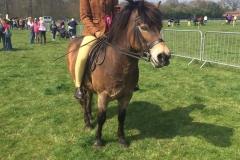 Mollie Townes riding Anchor Bustard