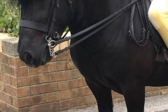 Morgan Roynon and Homer of Crafton