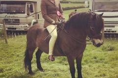 Stowbrook Red Kite and Davinia Johnson