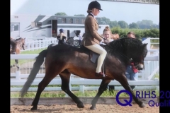 Davinia johnson and Stowbrook red kite