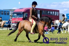 Lara Berrie and Springwater Garden Tiger