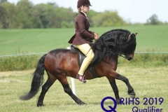 Vicki Casey and Kyleburn Mikado