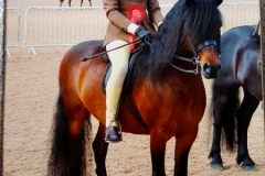 Zara Johnstone and Pumphill fandango